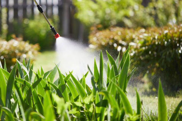 24/7 Emergency Wasp Removal experts in Roy, UT